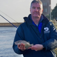 Great News ! 37 fish species now living in the Mersey Estuary