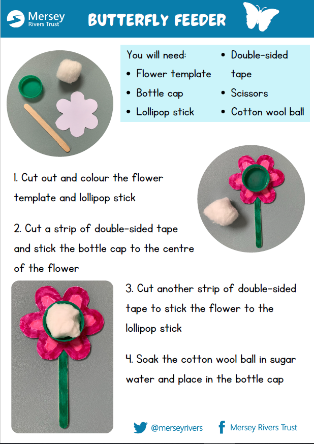 Butterfly Feeder