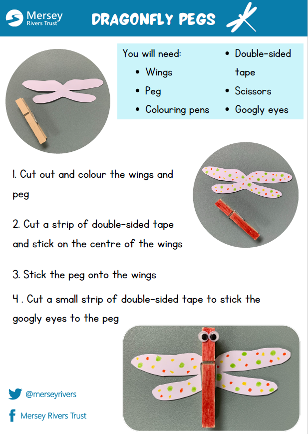 Dragonfly pegs