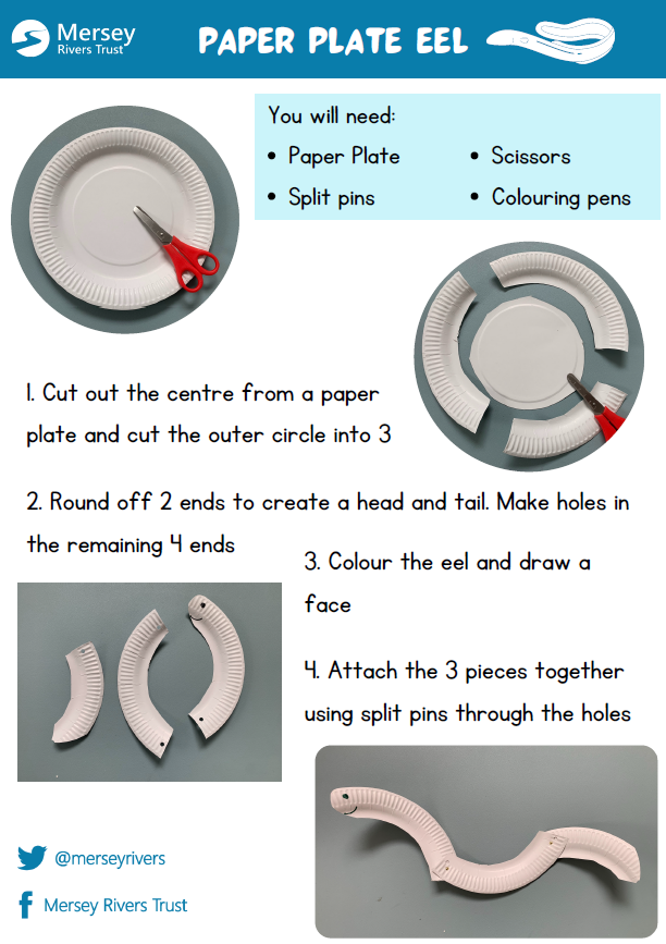 Paper plate eel