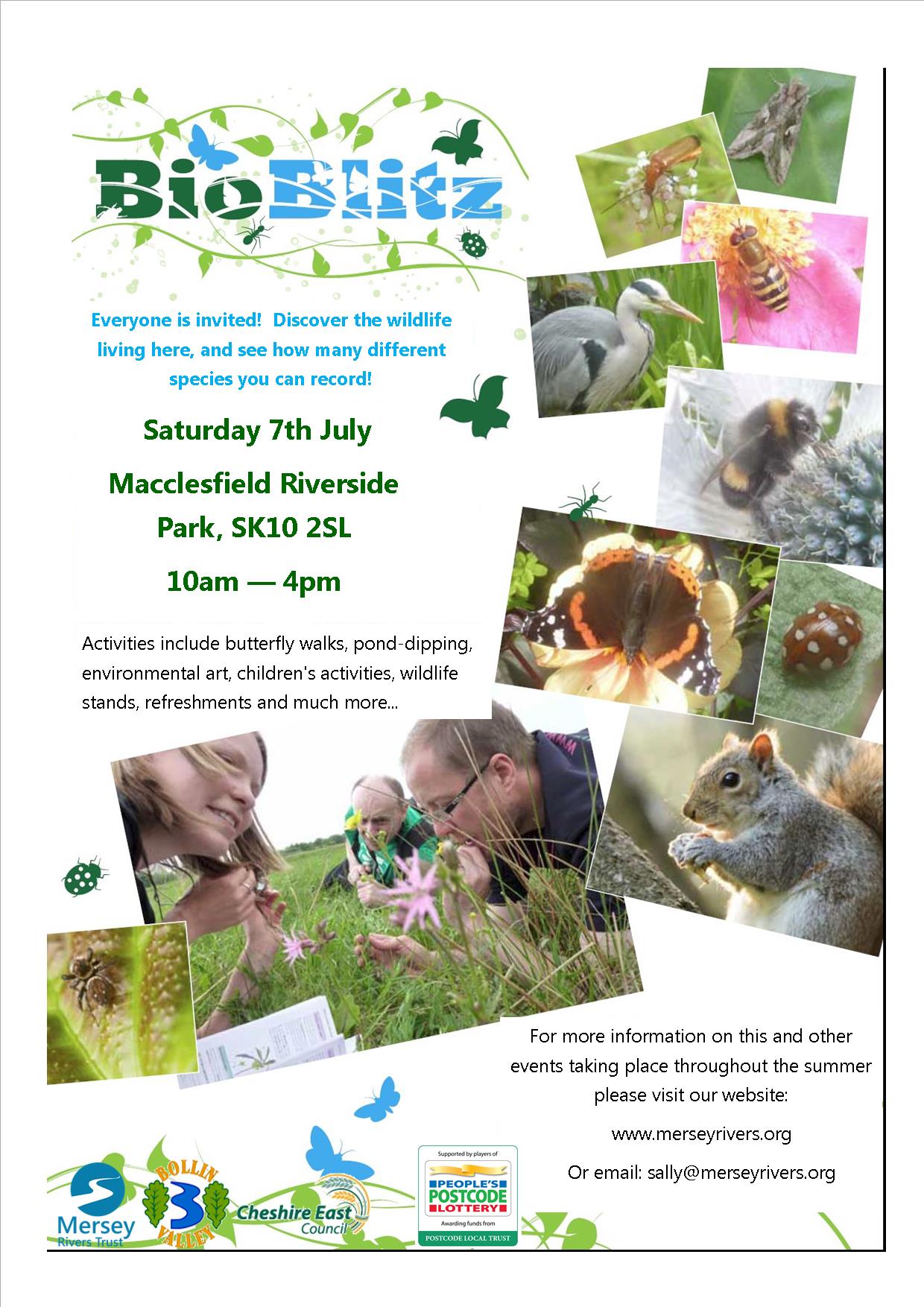 Bioblitz Poster